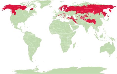 brown bear locations.